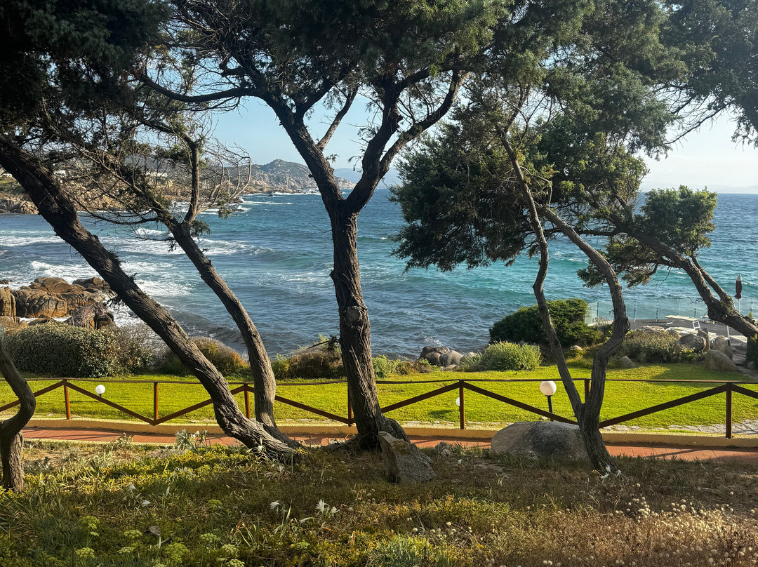 Club Esse Shardana主图