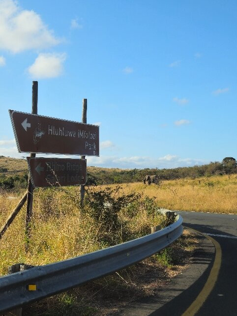 iMfolozi Game Reserve-Mtubatuba必去景点