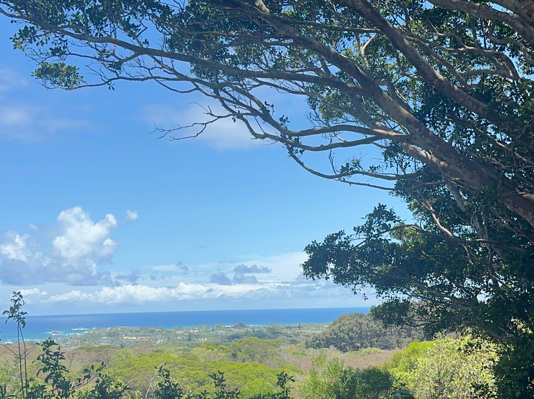 枪托牧场-拉叶必去景点