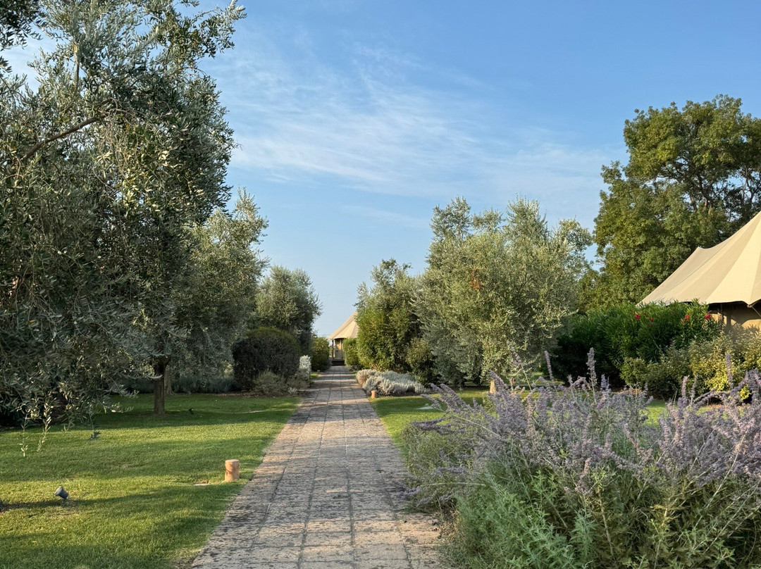 Terme di Vulci Glamping & Spa-Canino必去景点