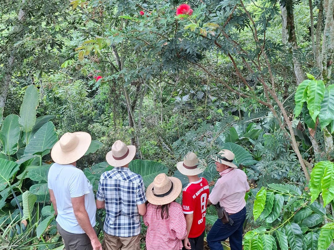 Brisas del Cauca-Risaralda必去景点
