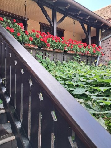 乐塞尔福餐厅及Spa酒店-官方