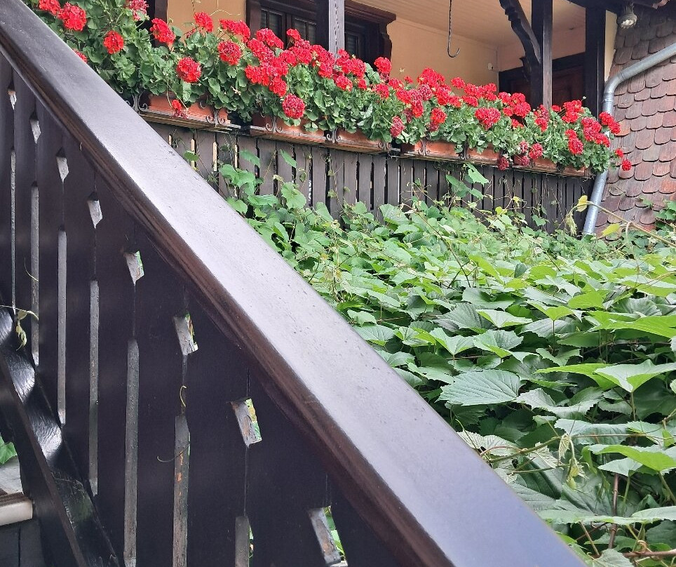 塞尔夫酒店主图