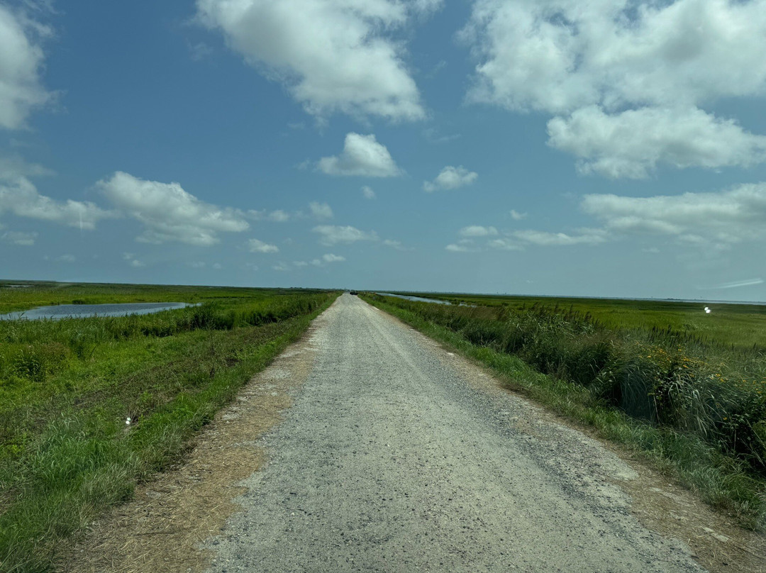 Edwin B. Forsythe National Wildlife Refuge-Oceanville必去景点