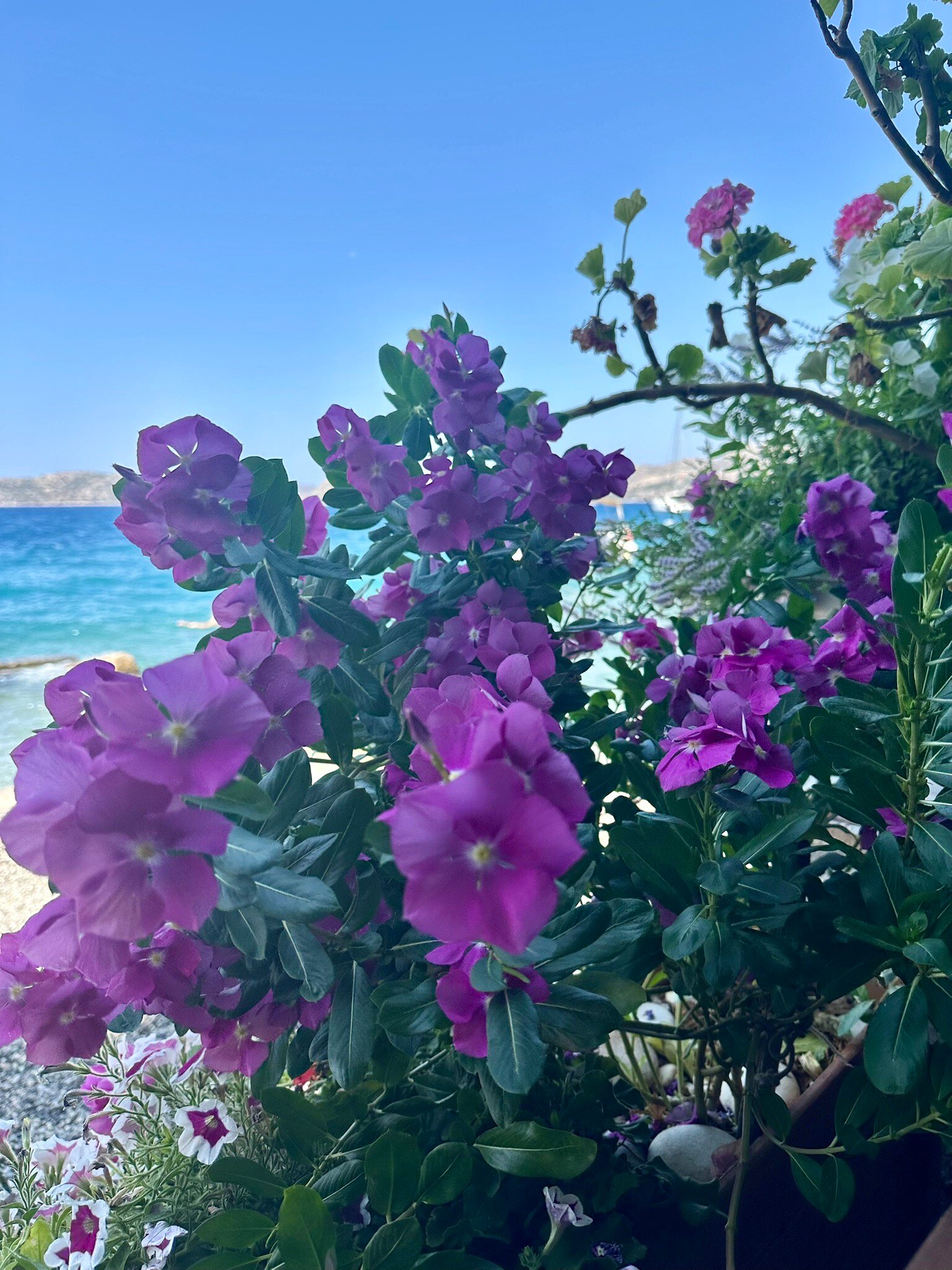 Yakamoz Restaurant & Pension-官方