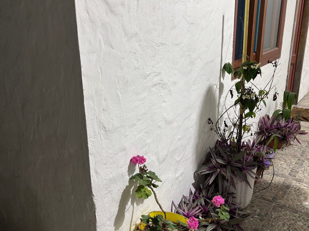 La Gran Tortuga主图