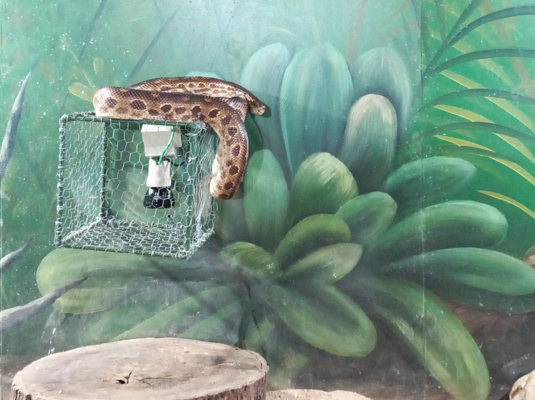 Parque Zoobotanico de Brusque-Brusque必去景点