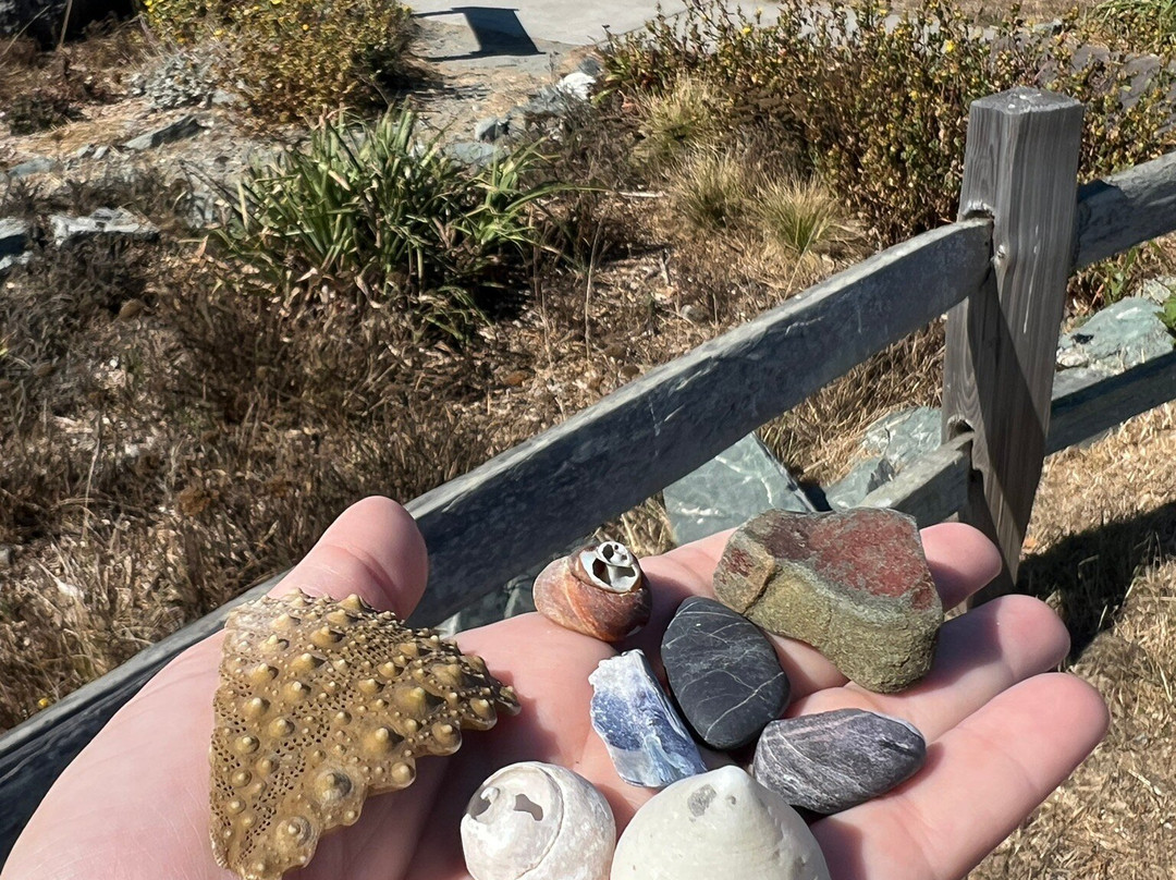 Black Sands Beach-Shelter Cove必去景点