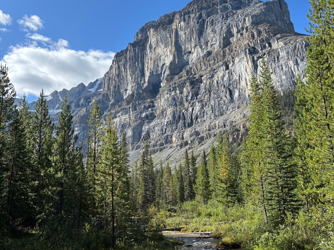 Canadian Rockies Experience-坎莫尔必去景点