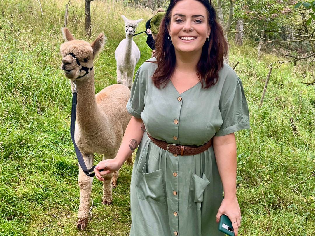 Teesdale Alpacas (Open by Appointment Only)-Barnard Castle必去景点