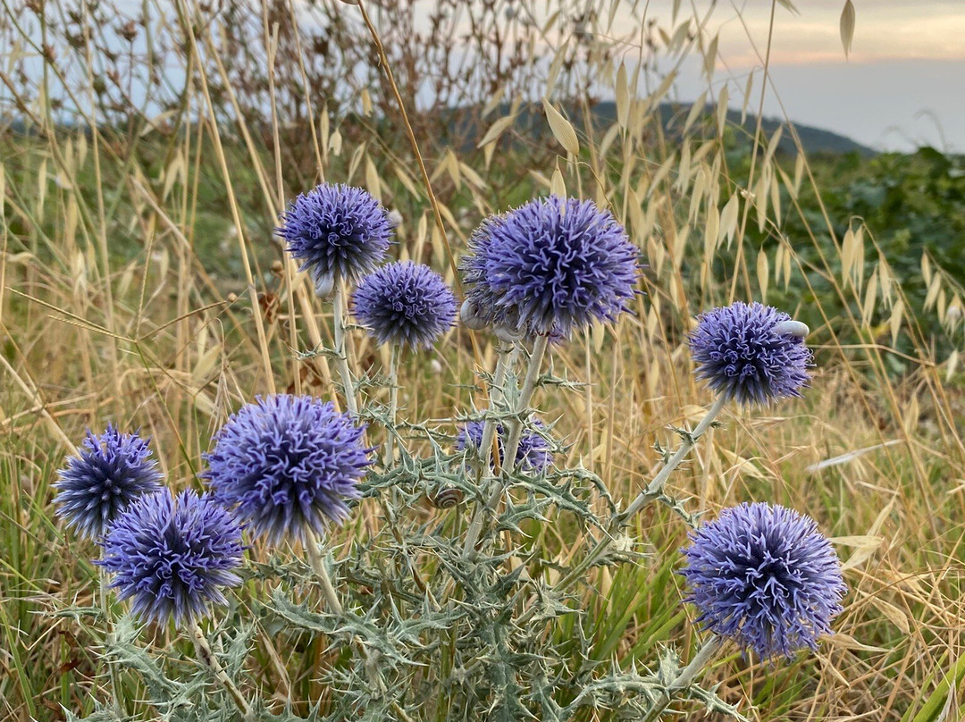 L’Atelier entre nos Murs