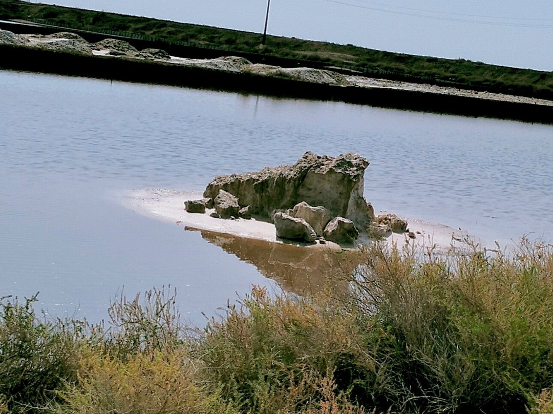 Saline Conti Vecchi-Assemini必去景点