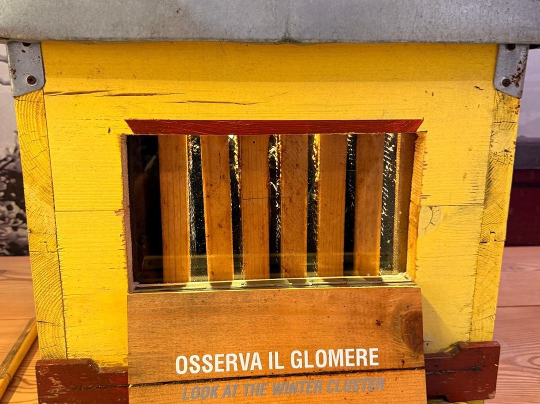 MMape • Mulino Museo dell'ape-Croviana必去景点