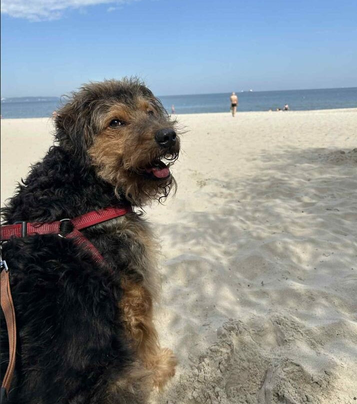 Brzezno Beach-格但斯克必去景点