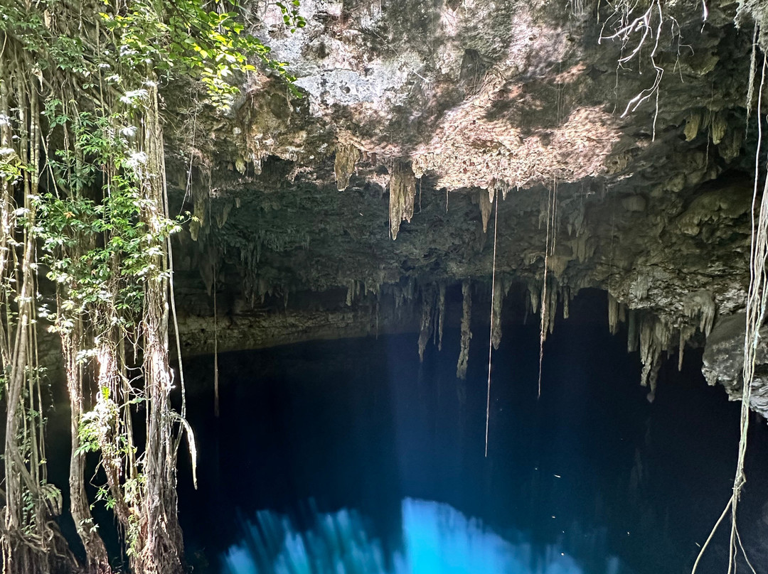 Experiencia Privada en Cenote Exclusivo-巴利亚多利德必去景点