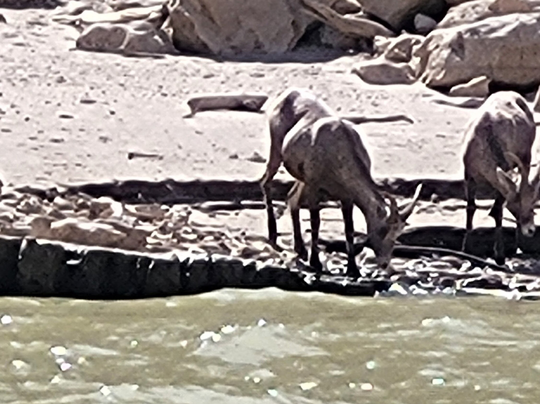 Hidden Treasure Day Charters-Lovell必去景点