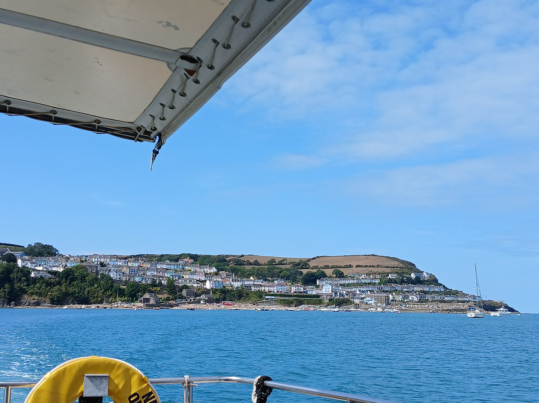Dolphin Survey Boat Trips-纽基必去景点