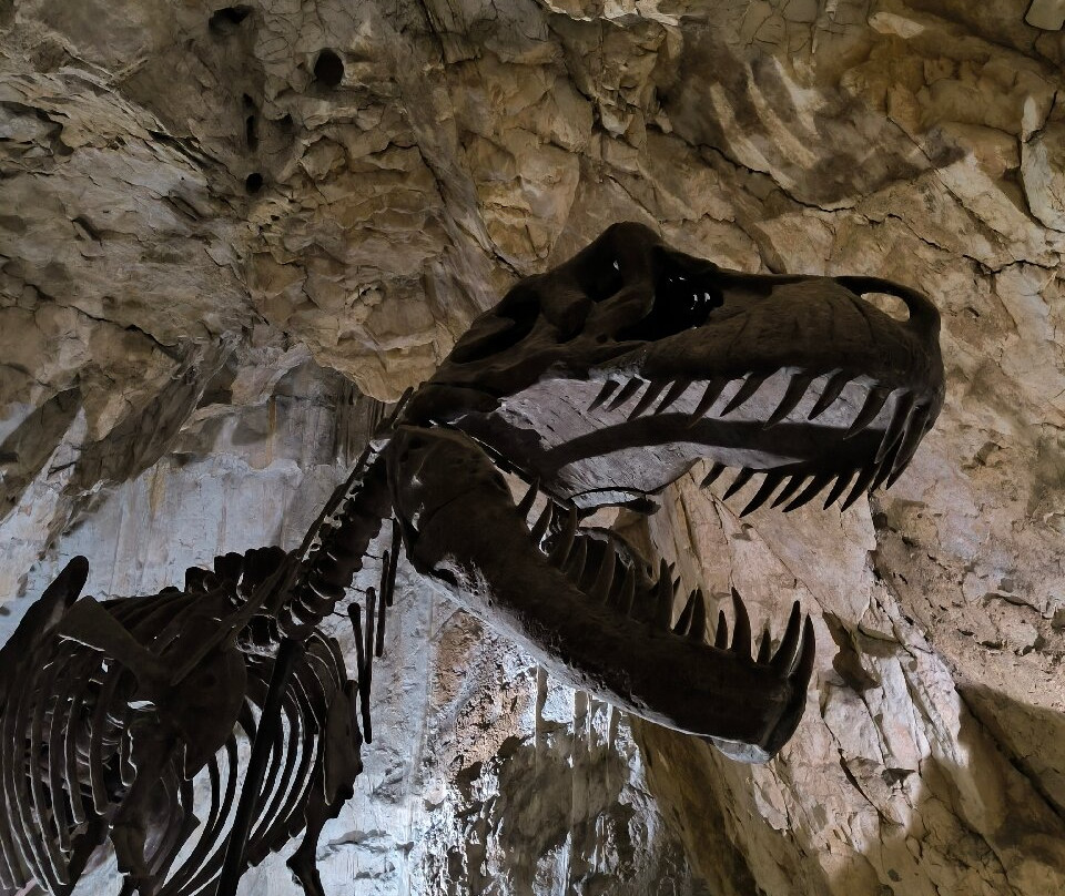 Dinopedia Expérience-Villefranche-de-Conflent必去景点