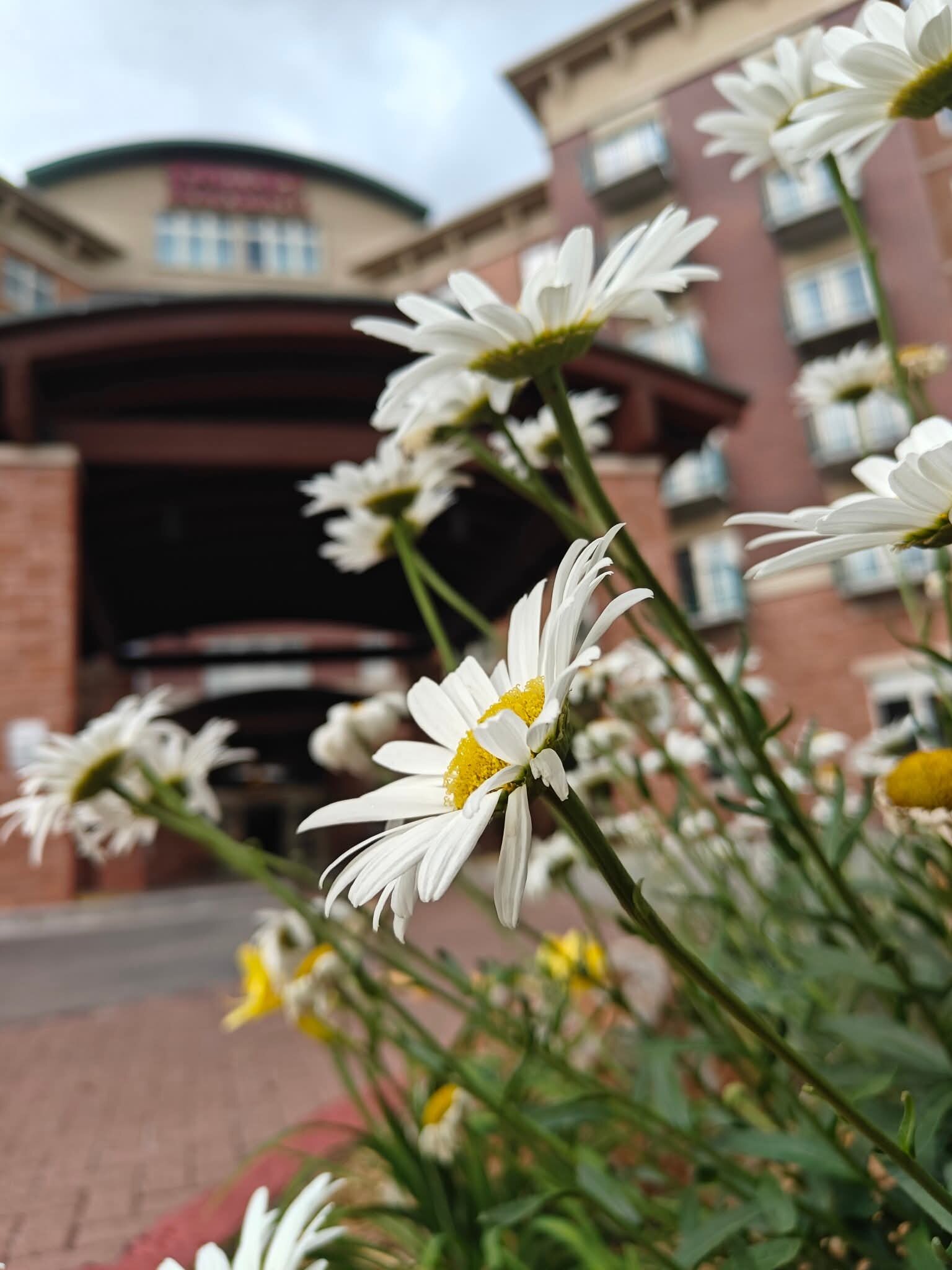 Drury Inn & Suites Flagstaff-浴室