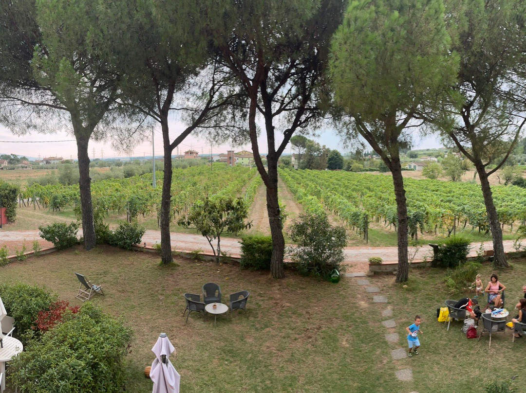 Locanda il Fornello主图