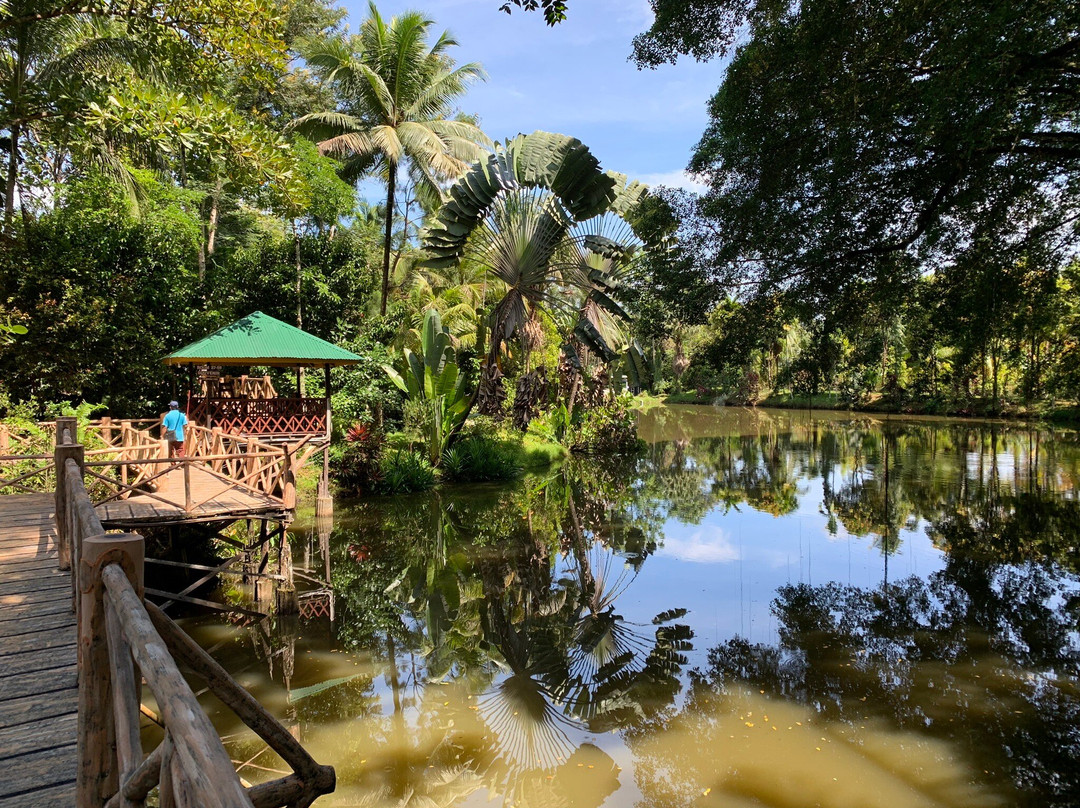 西必洛森林度假村主图
