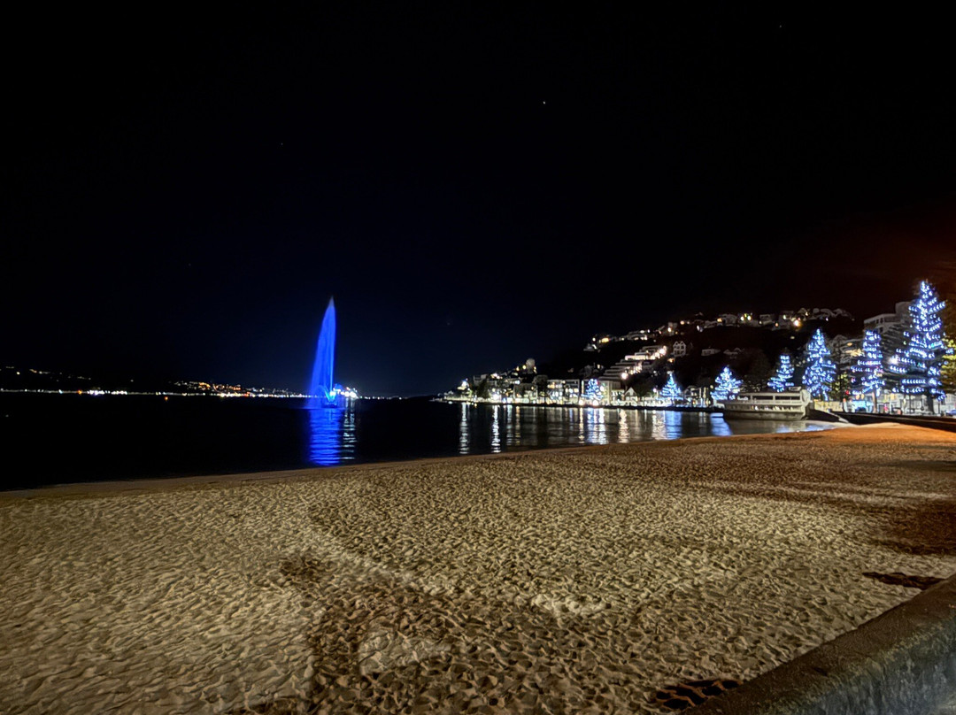 威灵顿贝拉维斯酒店主图