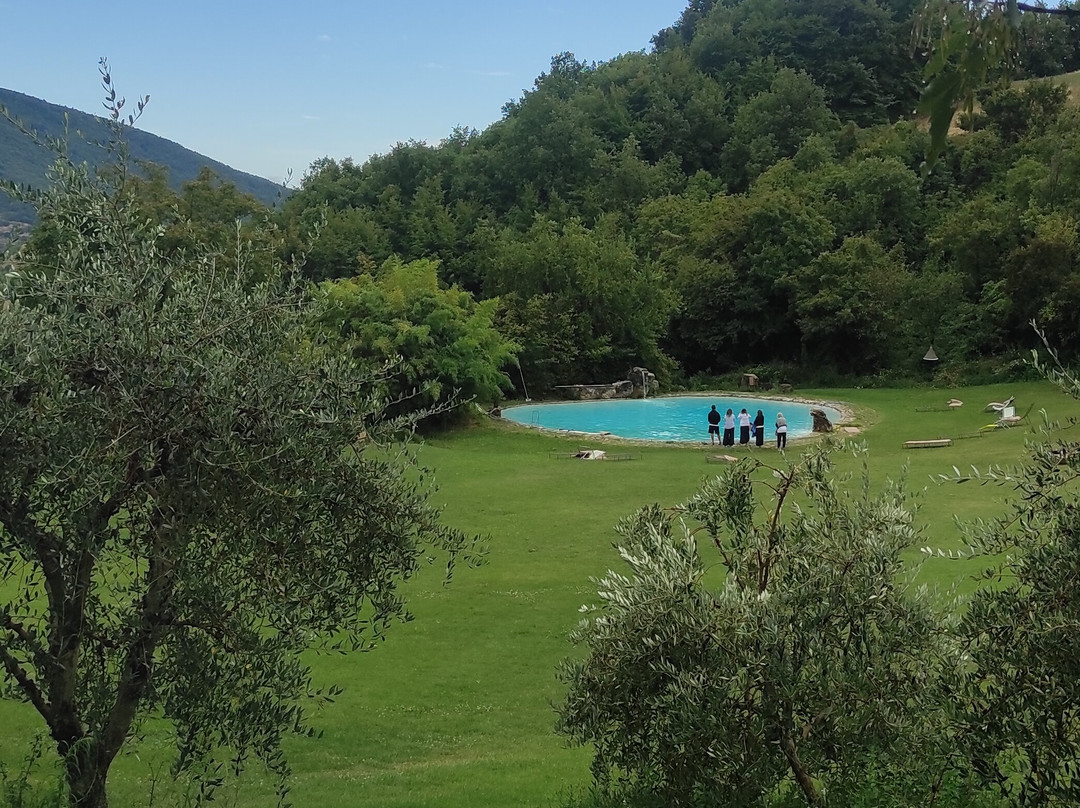 Agriturismo Paradiso41主图