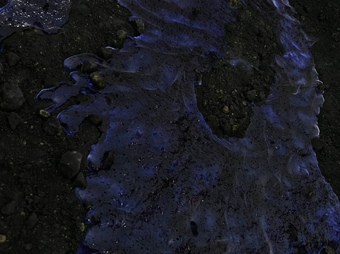 TrippyTrip Tour-泗水必去景点