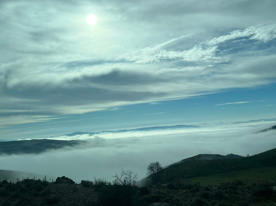 Elya Shop Cosmétique