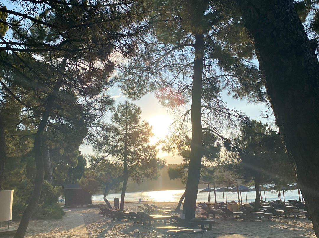 Aggelos Studio主图