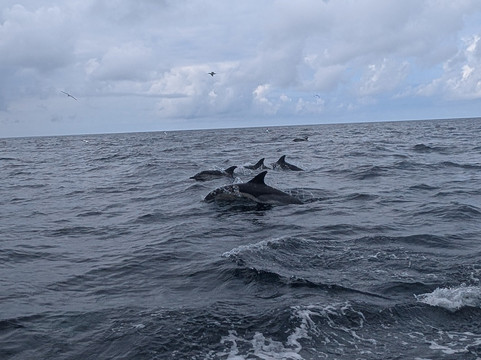 Kerry Aqua Terra-Valentia Island必去景点