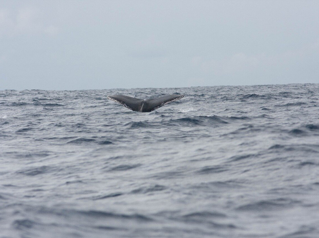 Ecosul Turismo-Ilheus必去景点