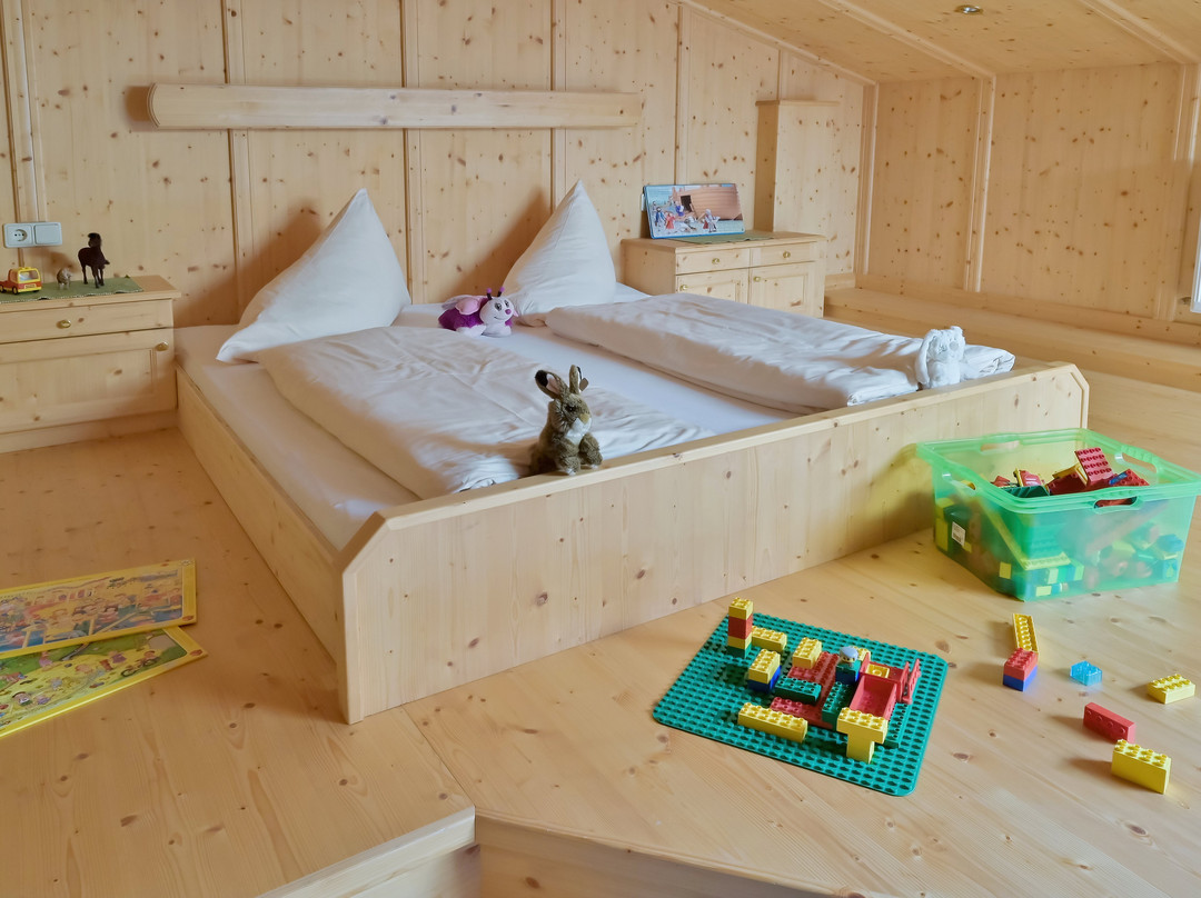 Alpenhotel Wanderniki主图