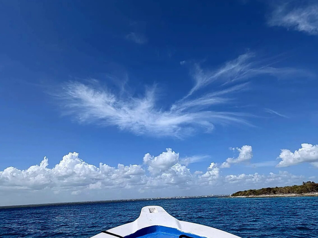 Isla Catalina-拉罗马纳必去景点