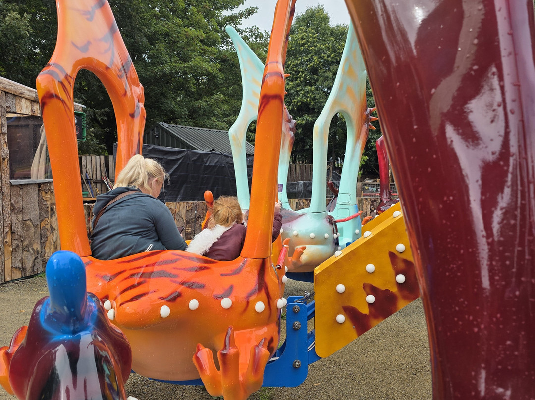 Jurassic Newpark-基尔肯尼必去景点