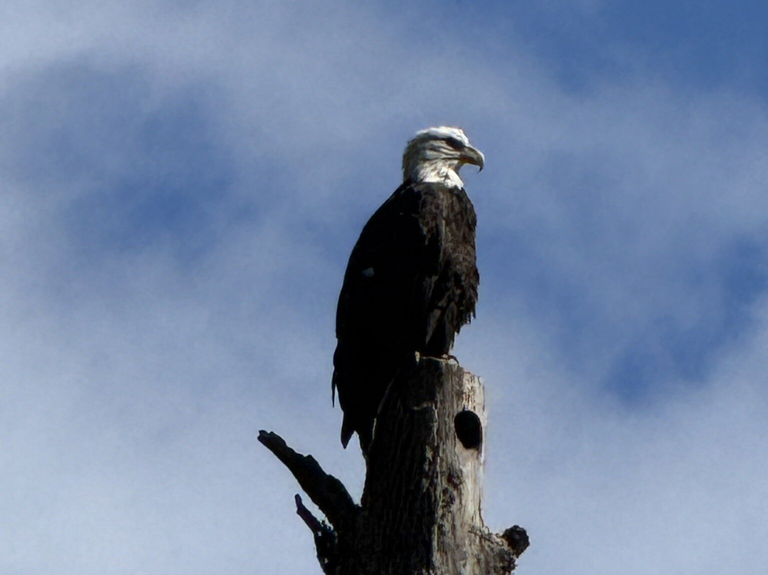 Pine Creek Outfitters, Inc-Wellsboro必去景点