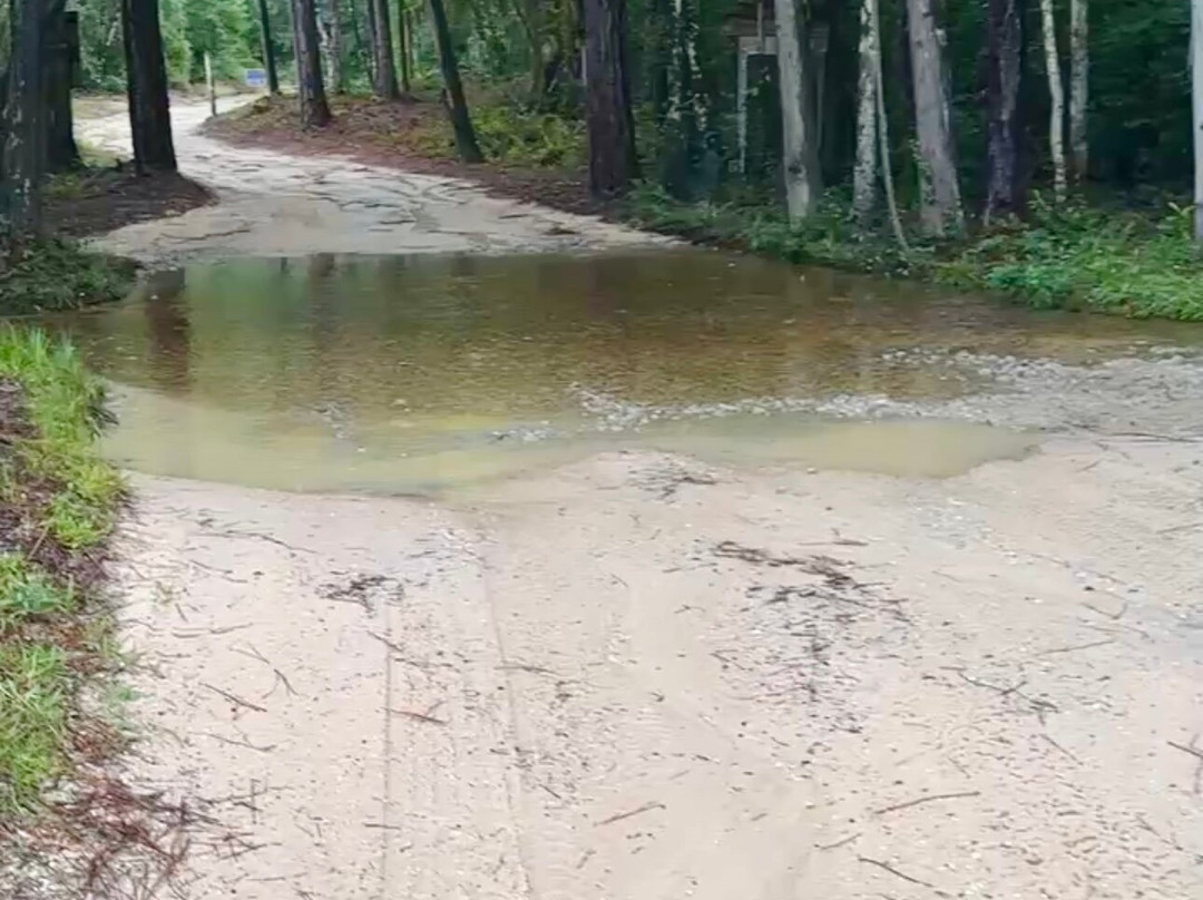 Blackwater Joe's-Holt必去景点