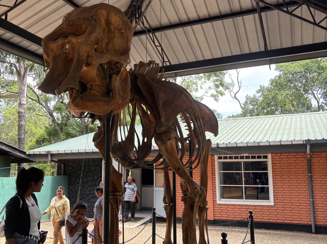 Monkey Tours Sri Lanka-加勒必去景点