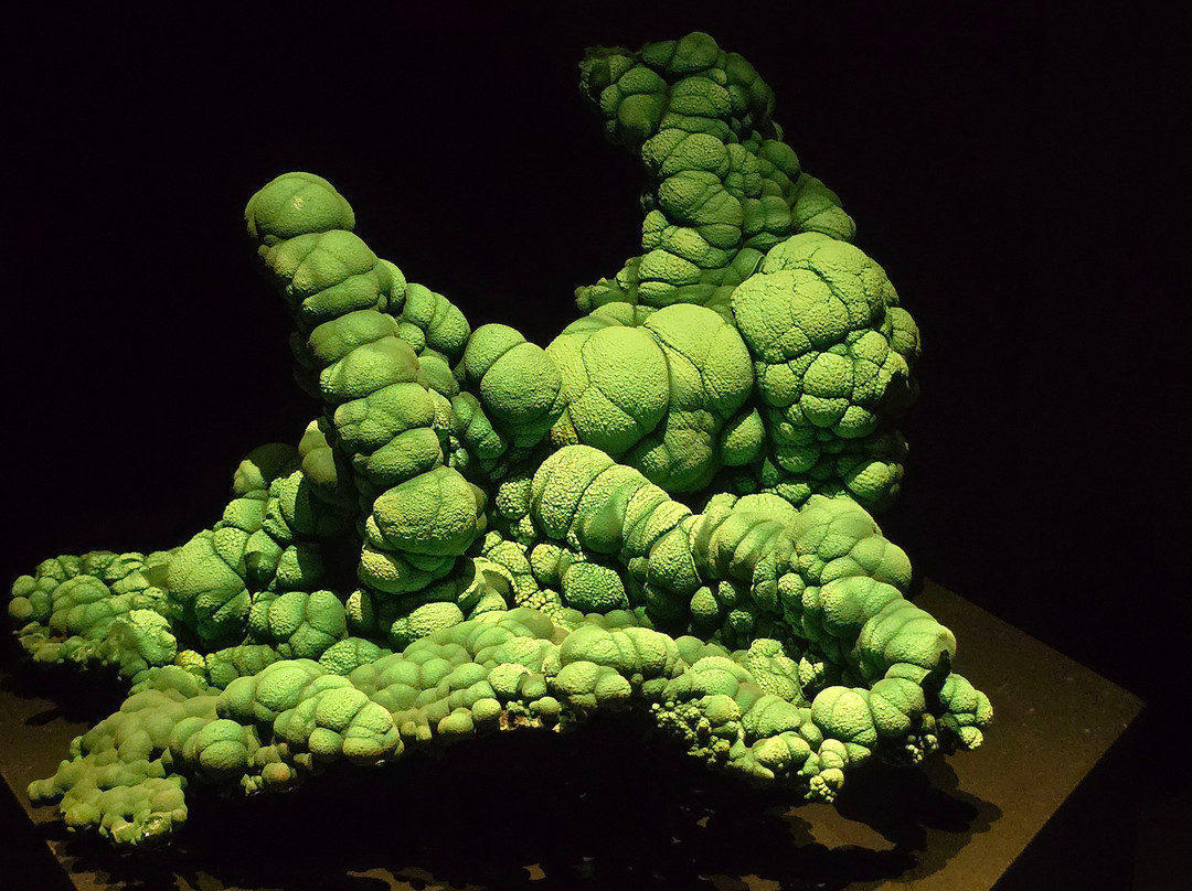 Muséum de Grenoble-格勒诺布尔必去景点