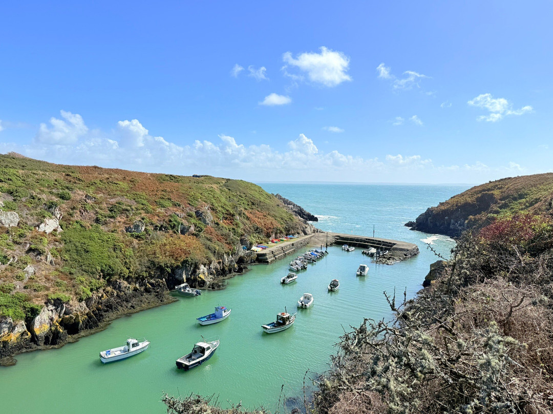 Porth Clais Harbour-St. Davids必去景点