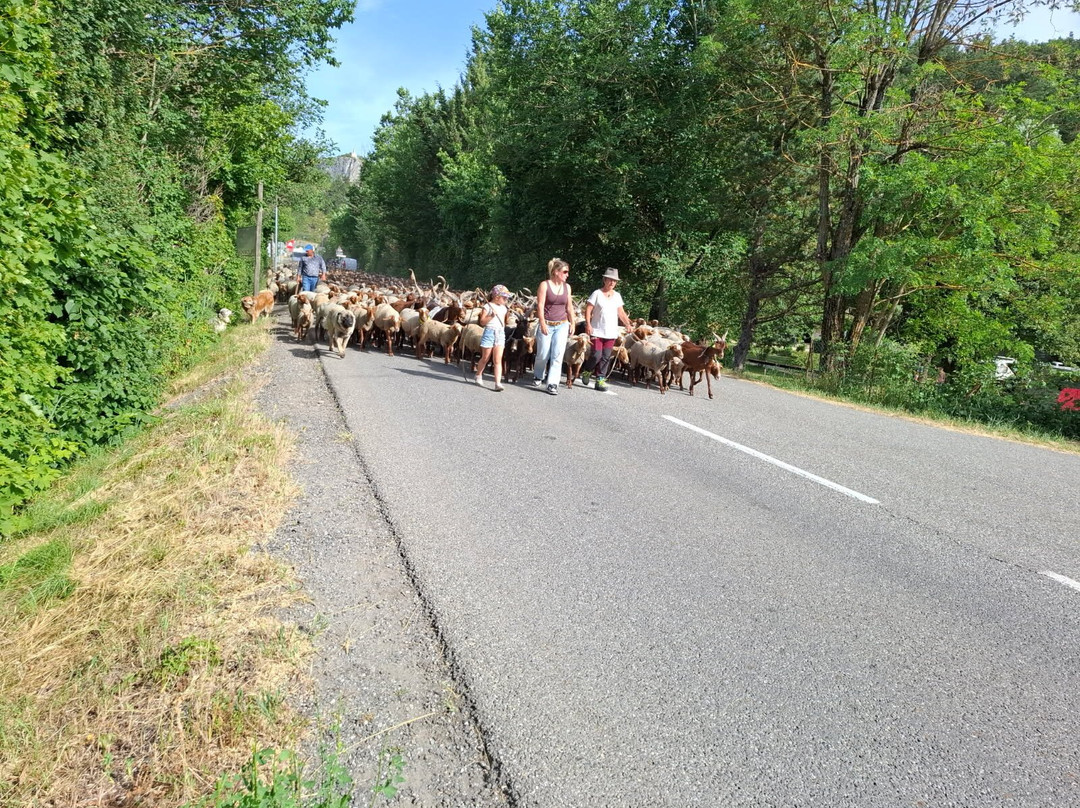 Camping L'eden Road