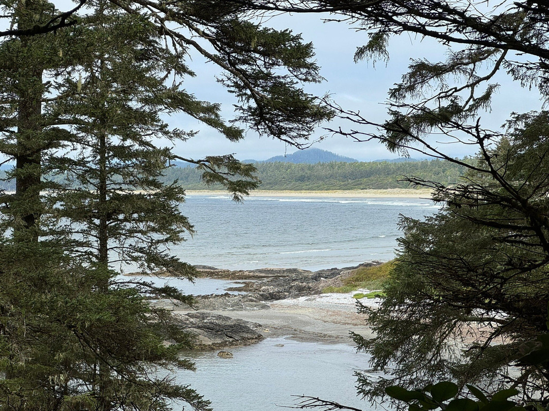 Kwisitis Visitor Centre-尤克卢利特必去景点