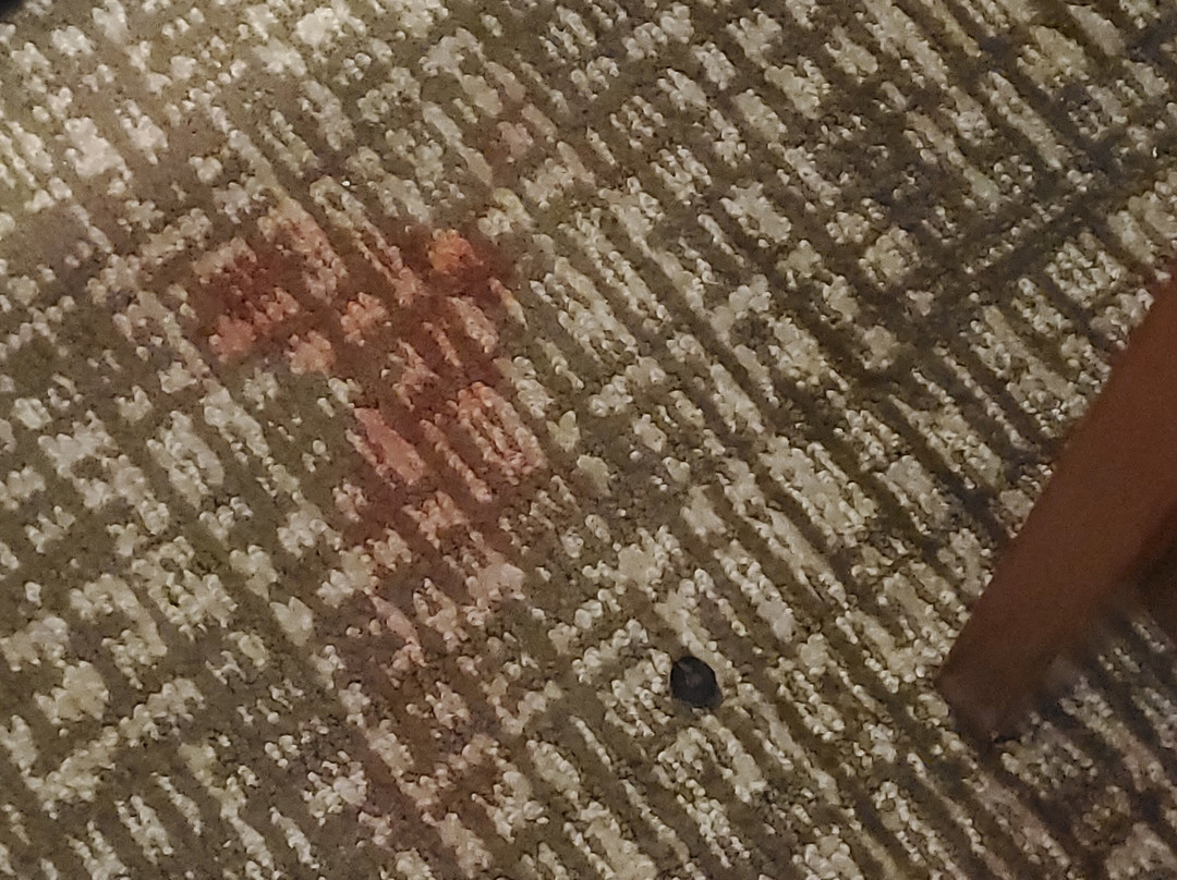 Comfort Suites主图