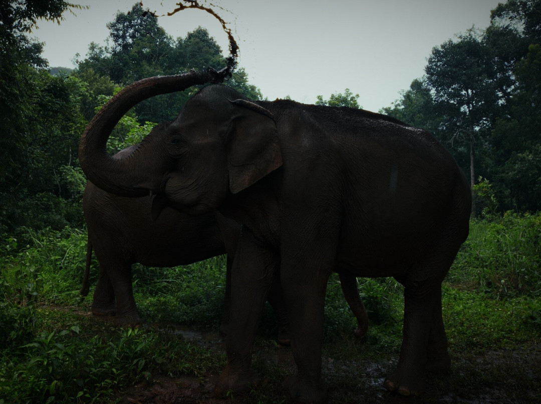 Mondulkiri Project-森莫诺隆必去景点