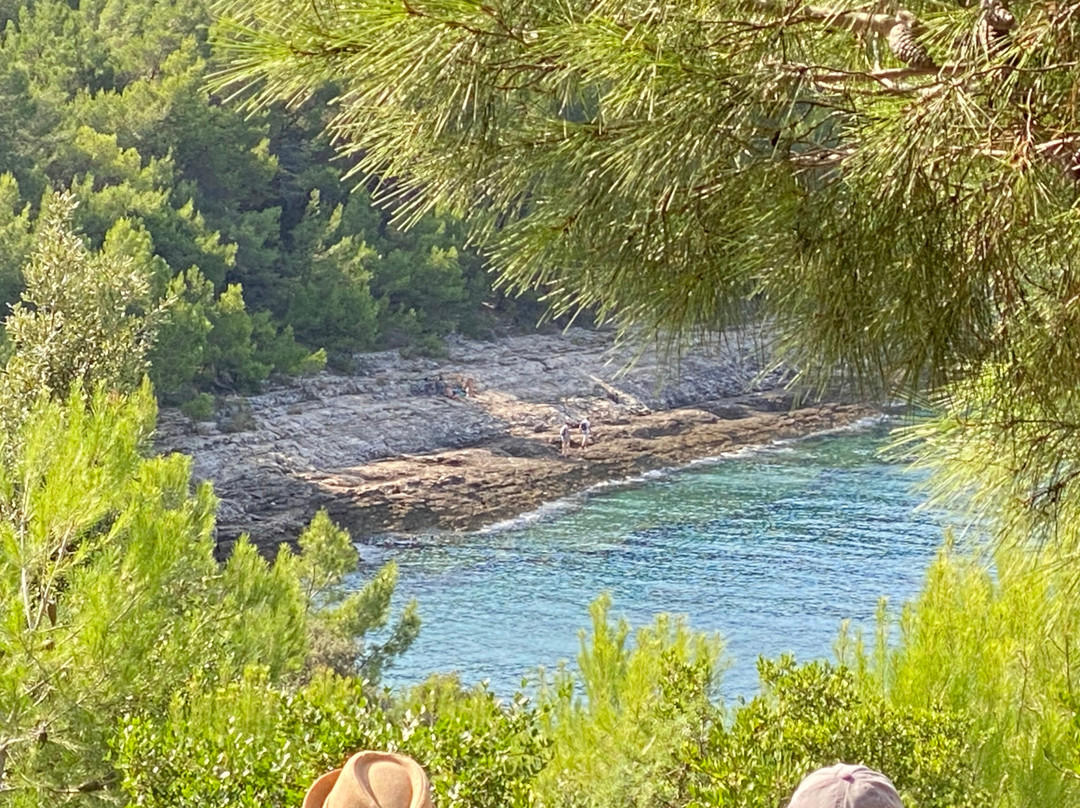 Tajana & Zlatni Rat Excursions-梅杜林必去景点
