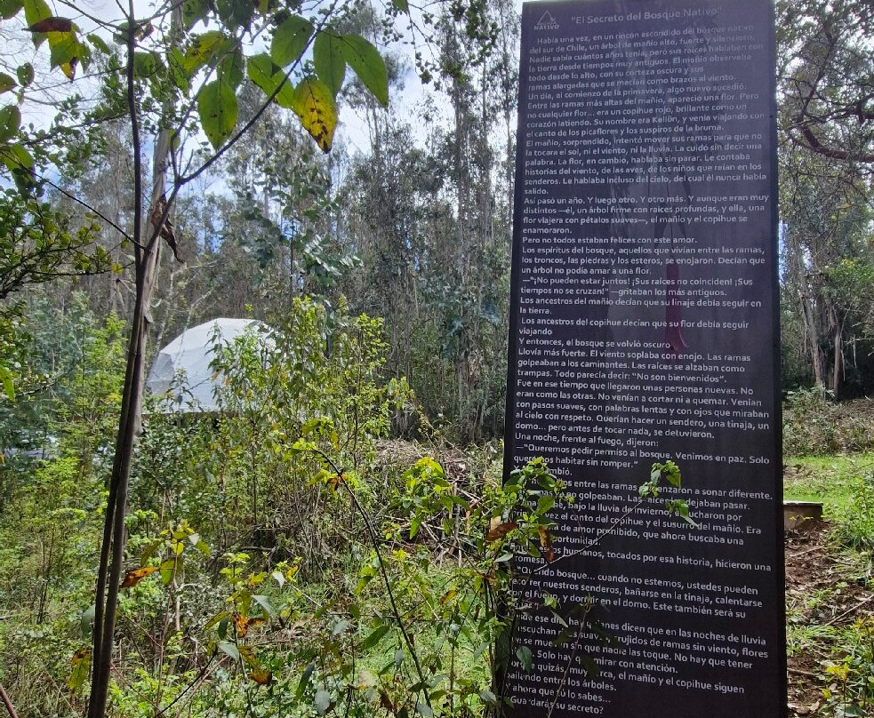 Turismo Pitrufquén-Pitrufquen必去景点