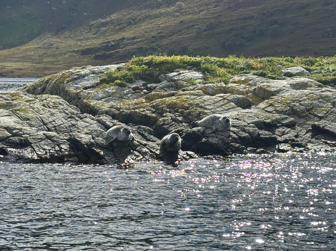 Kylesku Boat Tours-Kylesku必去景点