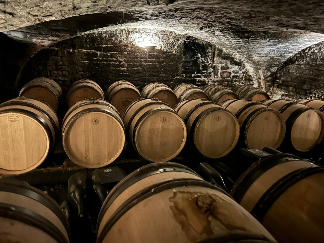 Chateau de Meursault-默尔索必去景点
