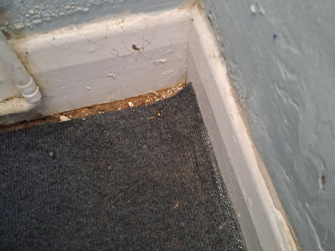 Glebe Farm House主图