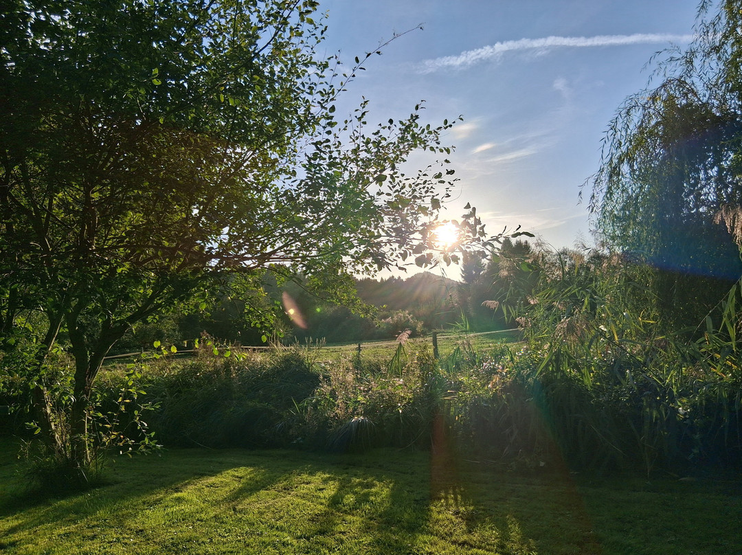 Alsace-Village主图